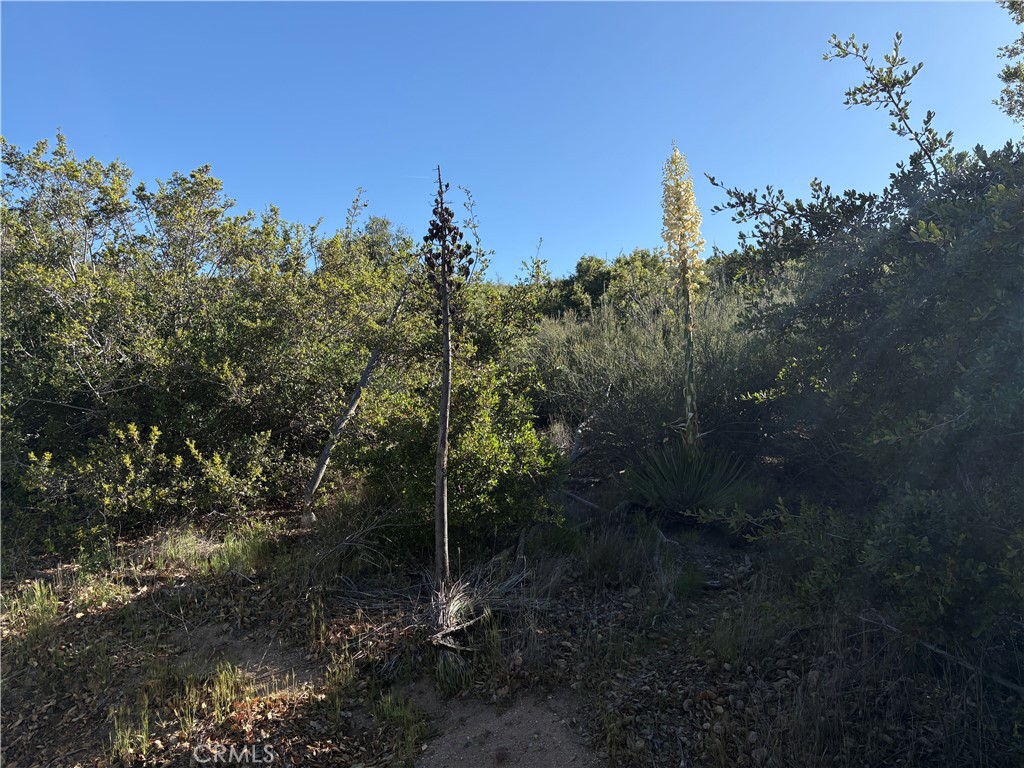0 Twin Pines Road Property Photo 1