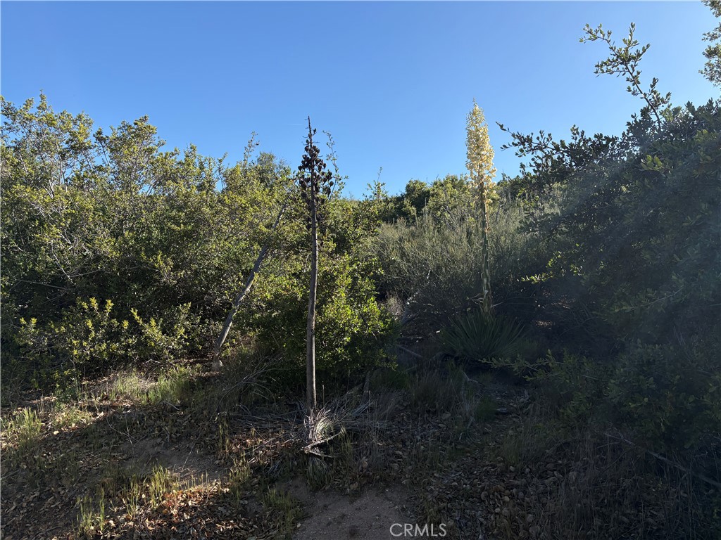 0 Twin Pines Road Property Photo