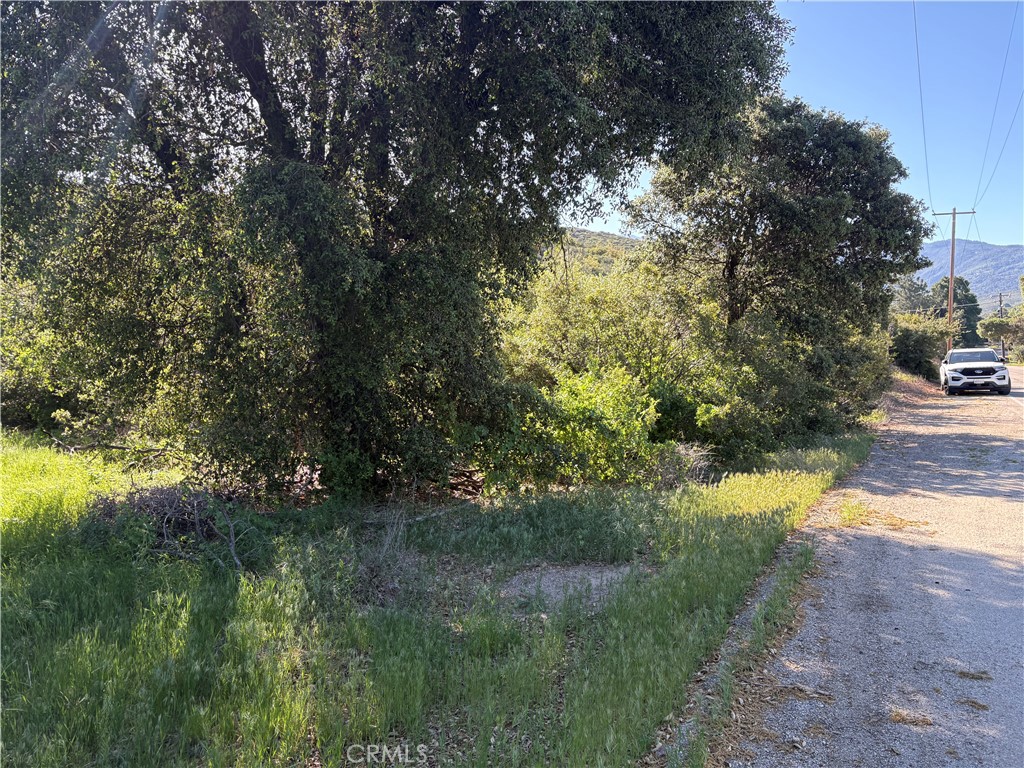 0 Twin Pines Road Property Photo 2