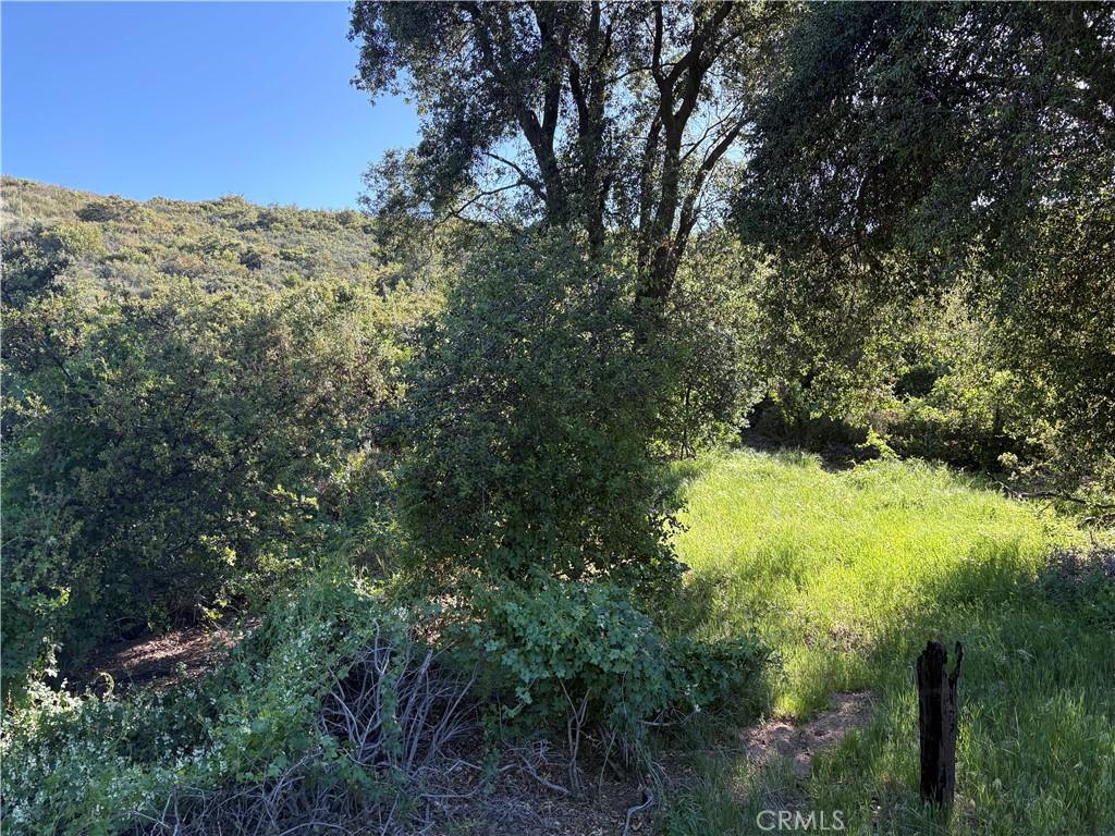 0 Twin Pines Road Property Photo 3