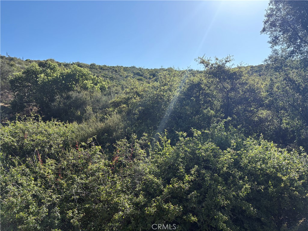 0 Twin Pines Road Property Photo 4
