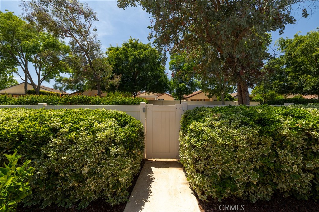 26629 Calle Gregorio Property Photo 21