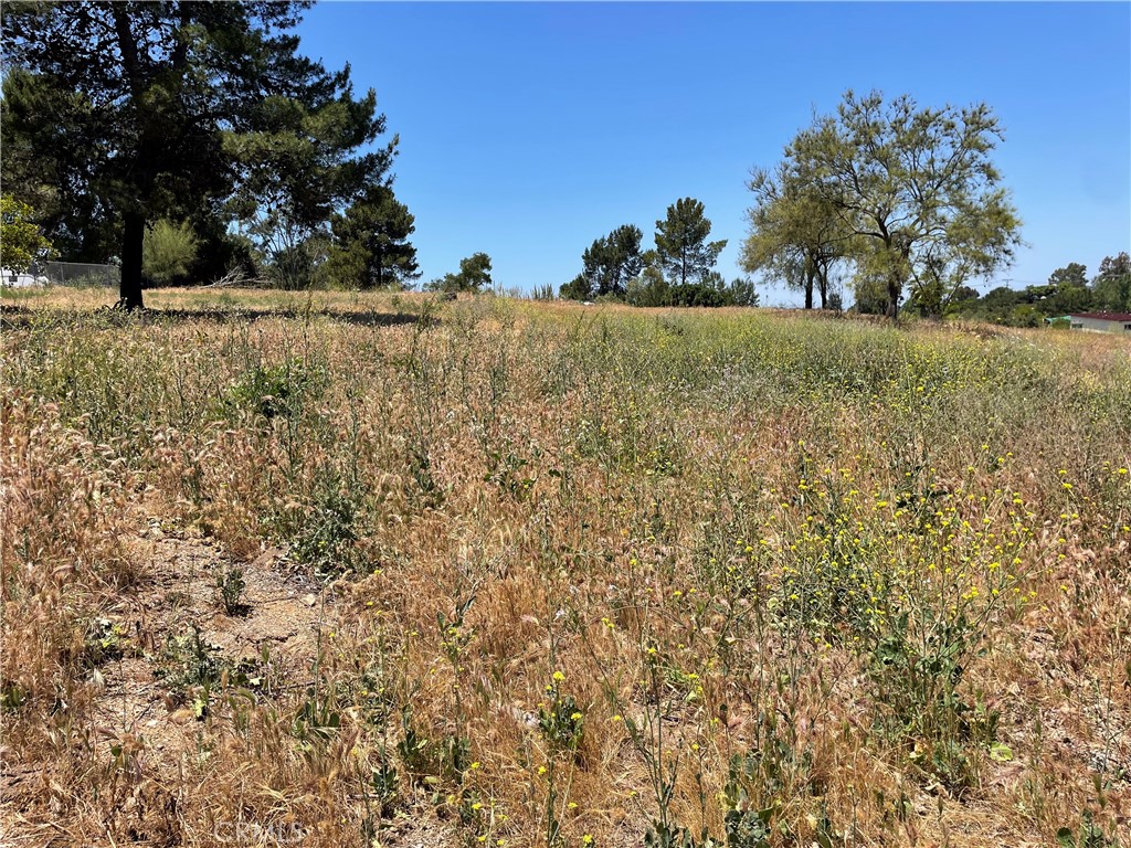 0 Linda Vista Drive Property Photo 15