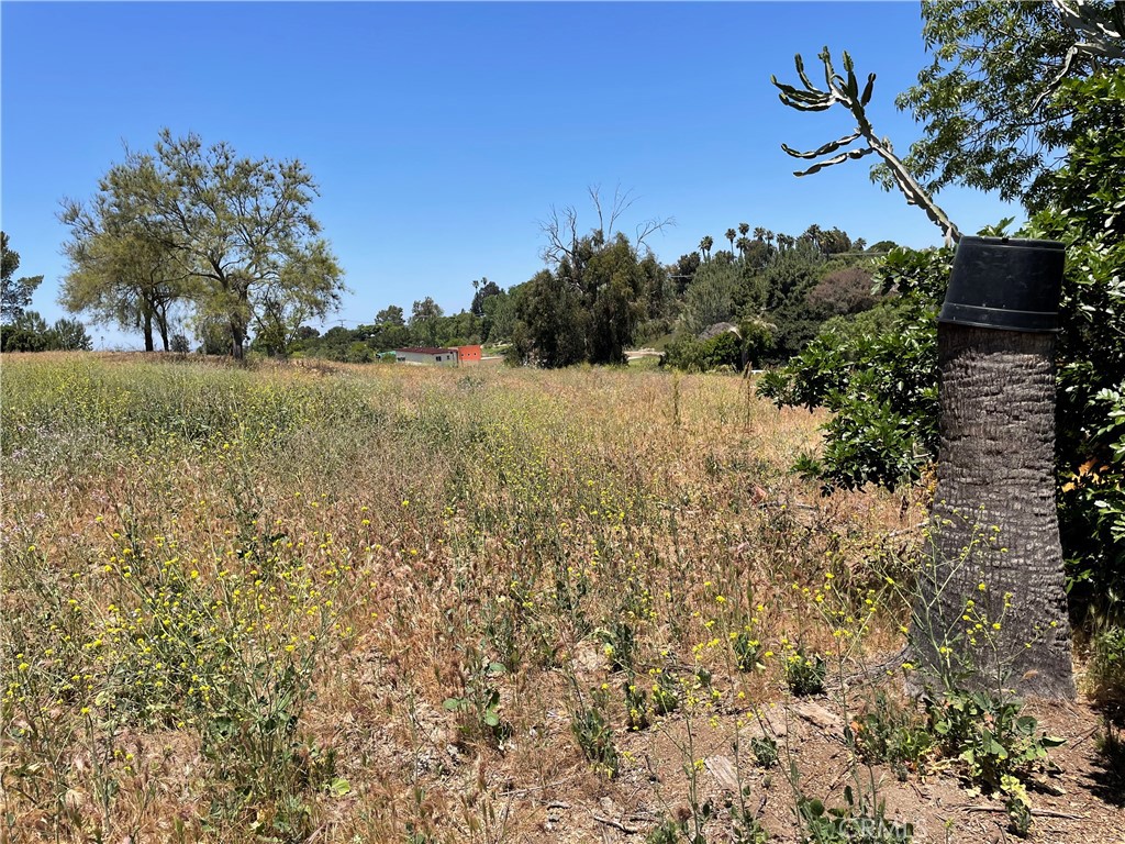 0 Linda Vista Drive Property Photo 16