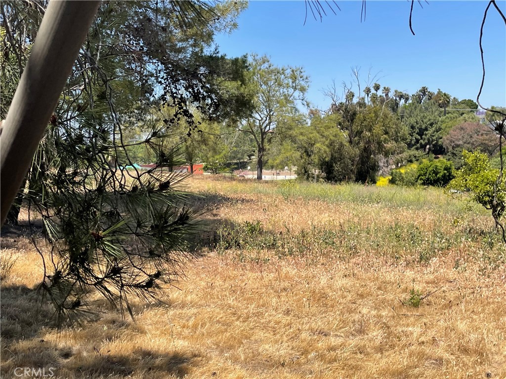 0 Linda Vista Drive Property Photo 19