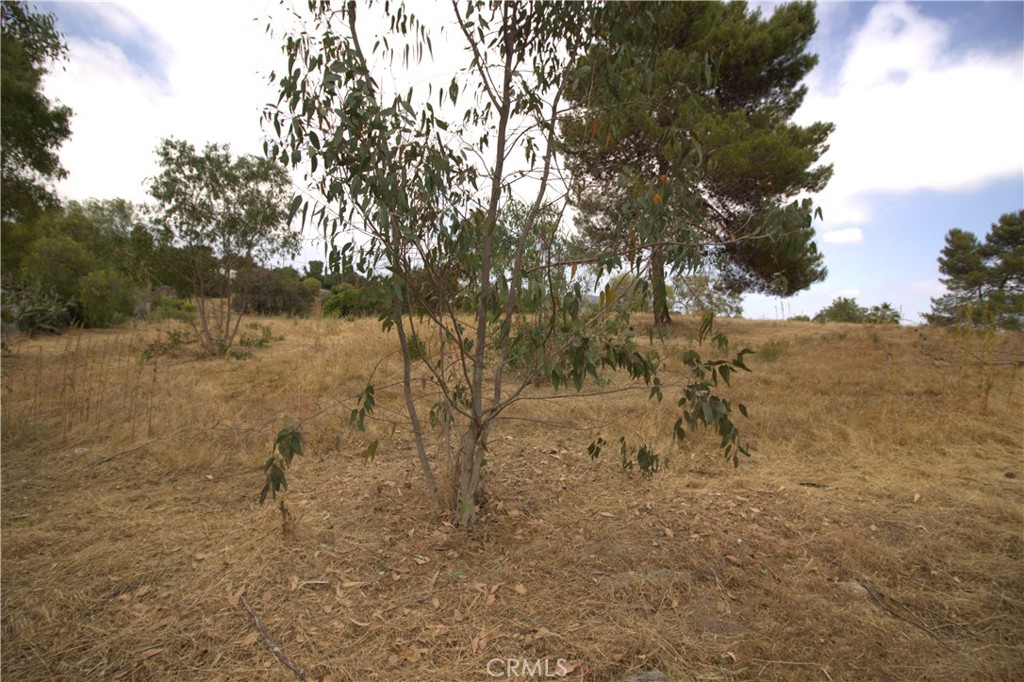 0 Linda Vista Drive Property Photo 23