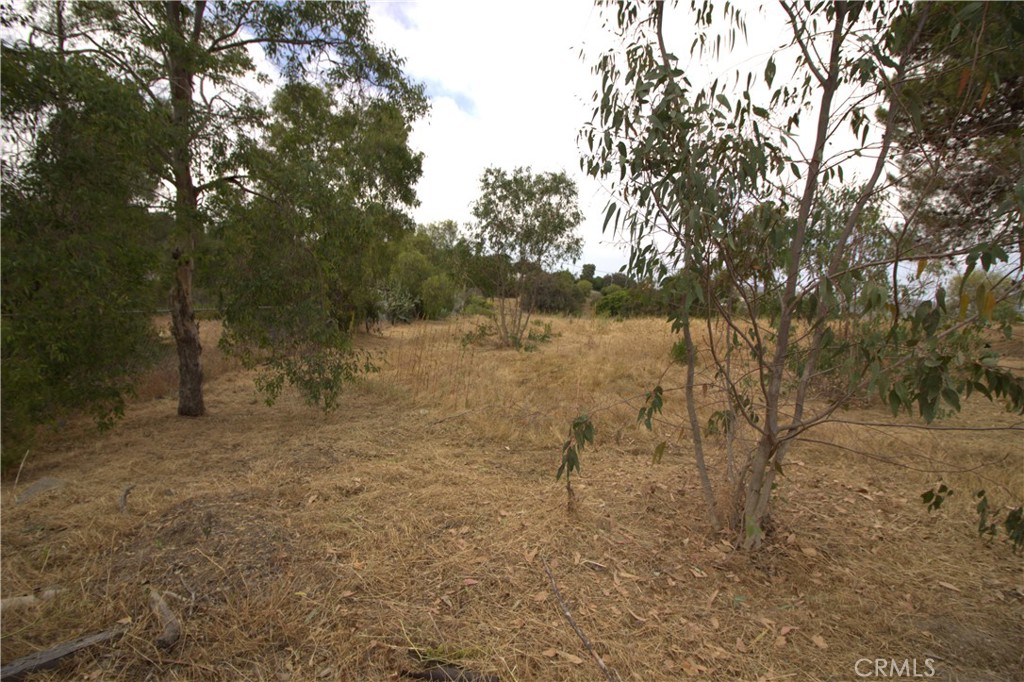 0 Linda Vista Drive Property Photo 24