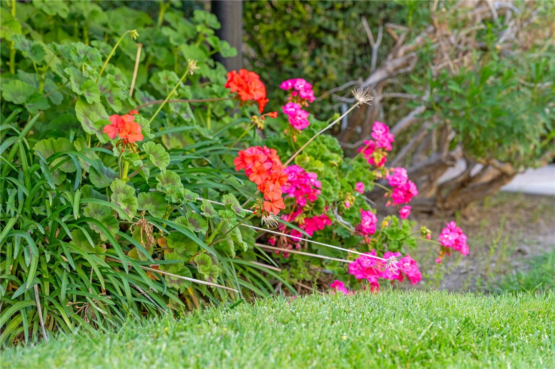 43195 Andrade Avenue L Property Photo 5