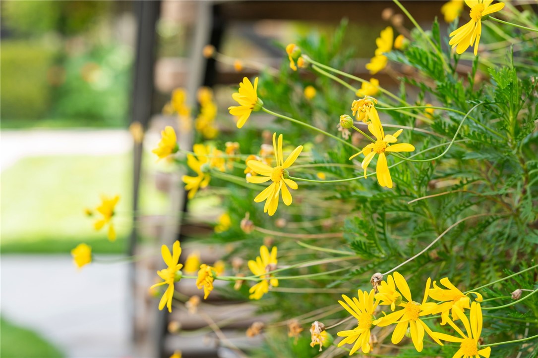 43195 Andrade Avenue L Property Photo 6