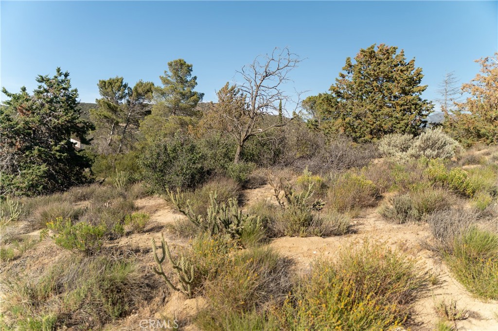 61826 Spanish Dagger Lane Property Photo 63