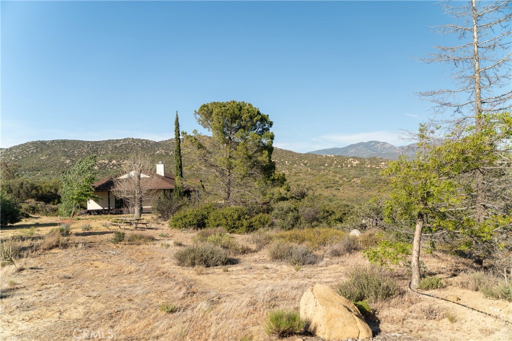 61826 Spanish Dagger Lane Property Photo 67