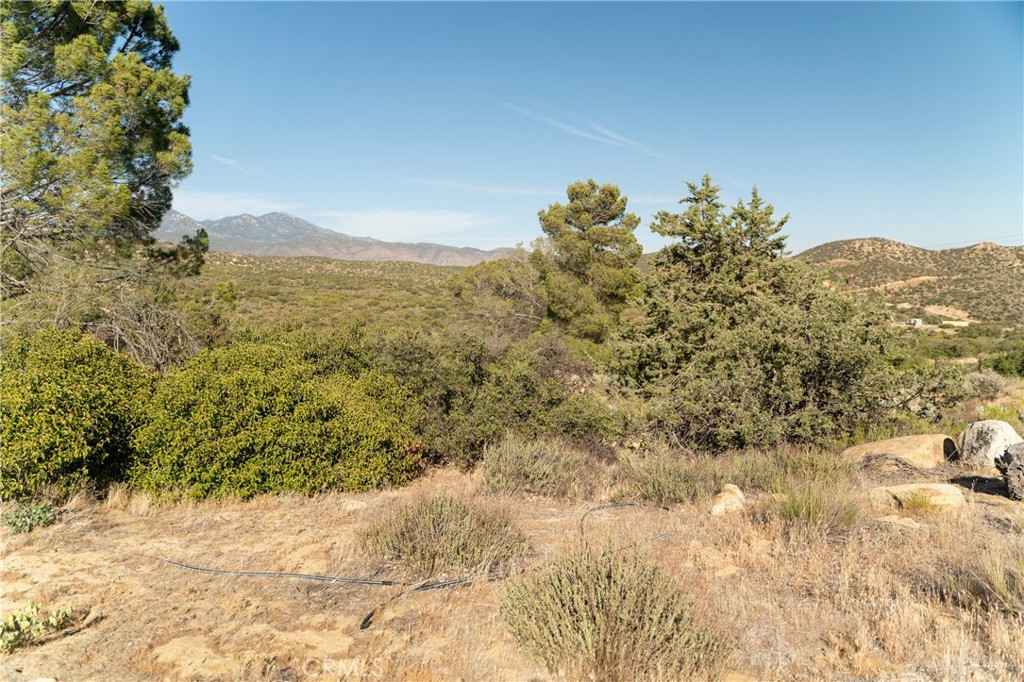 61826 Spanish Dagger Lane Property Photo 68