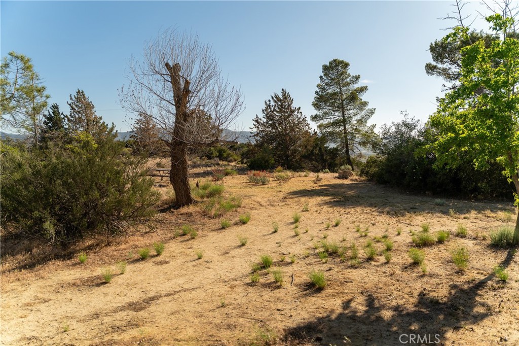 61826 Spanish Dagger Lane Property Photo 69