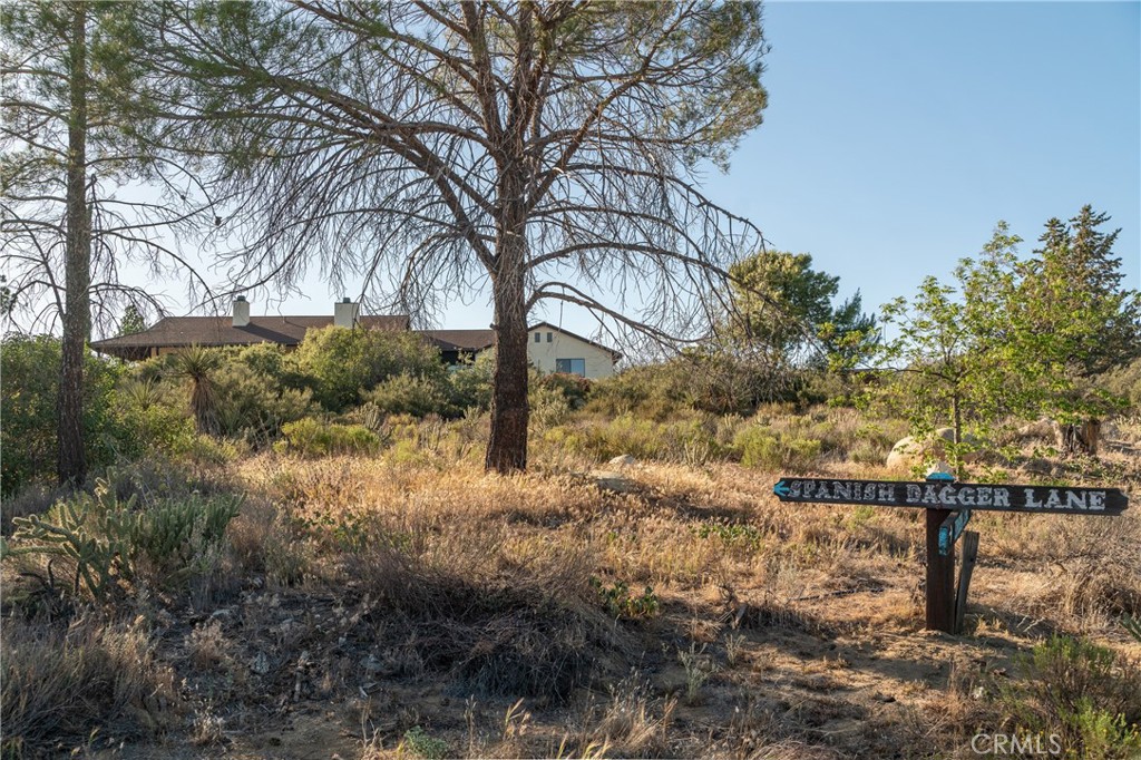 61826 Spanish Dagger Lane Property Photo 70