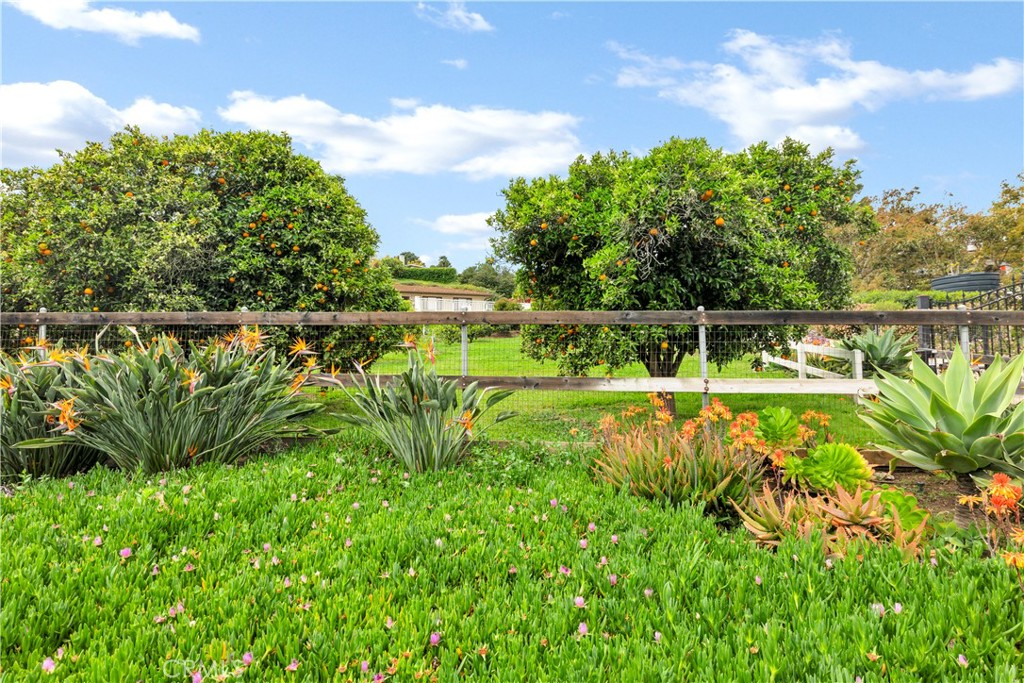 735 Del Valle Drive Property Photo 46