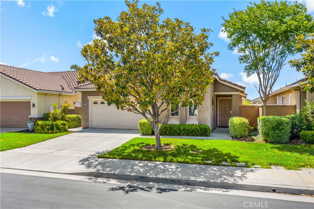 28187 Meadowsweet Drive Property Photo 34