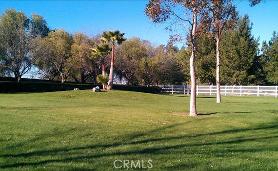42149 Elm Street Property Photo 6
