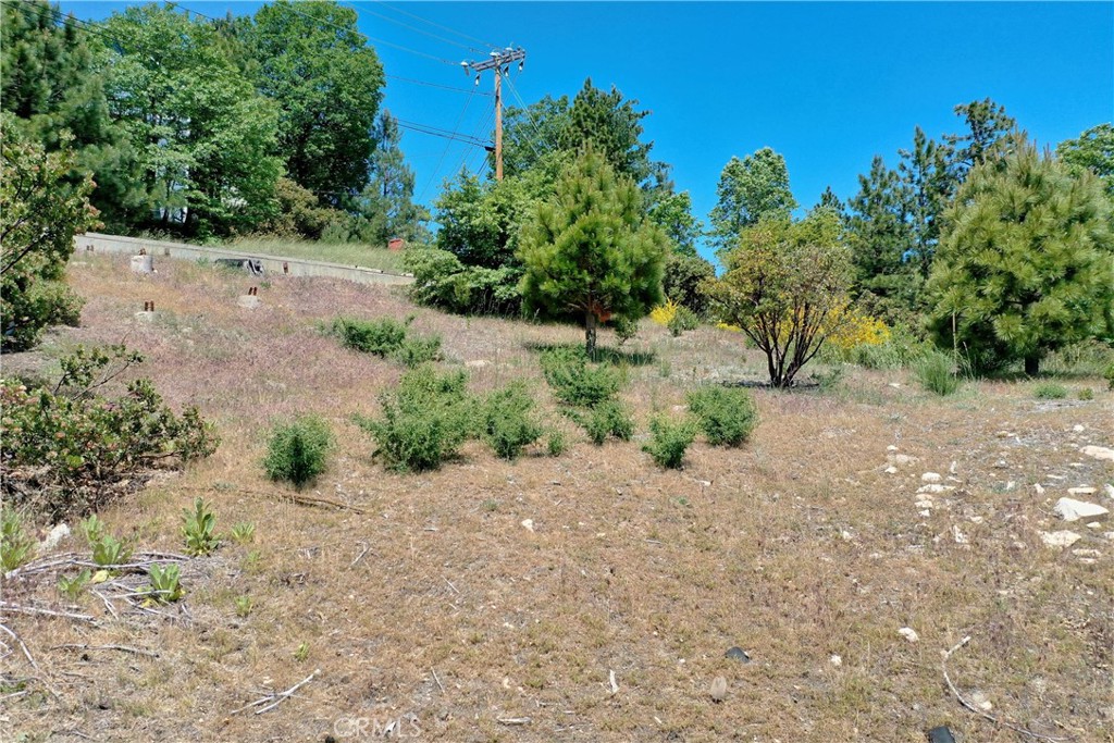 955 Sonoma Drive Property Photo 17