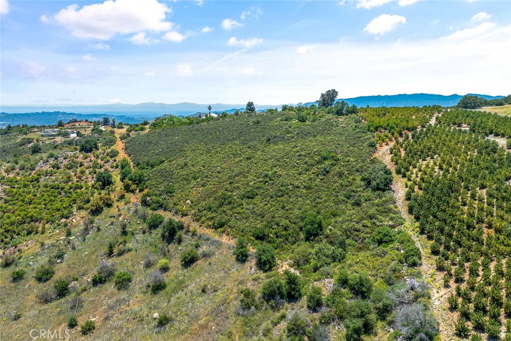 55 Via Escalon Property Photo 5