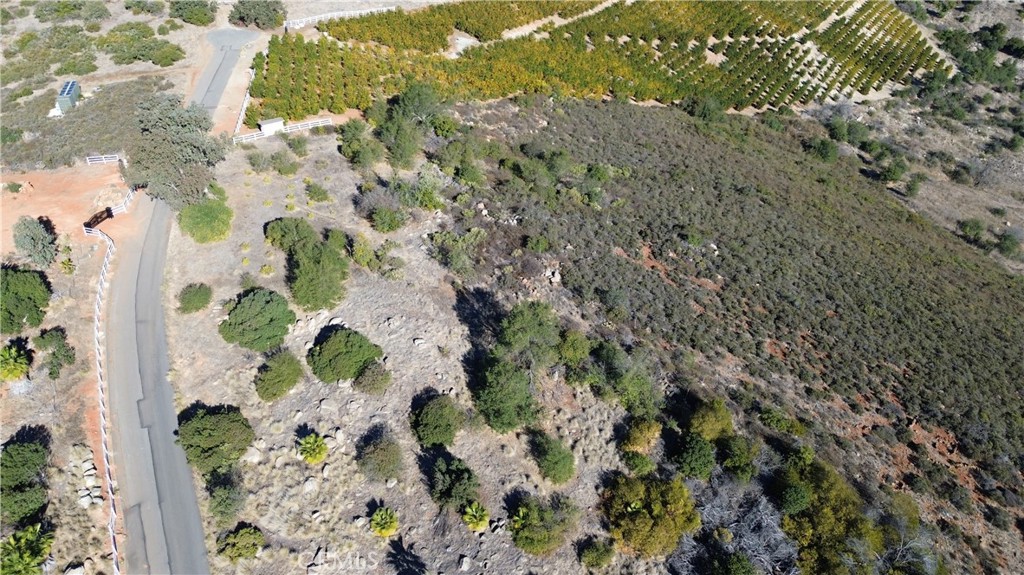 55 Via Escalon Property Photo 6