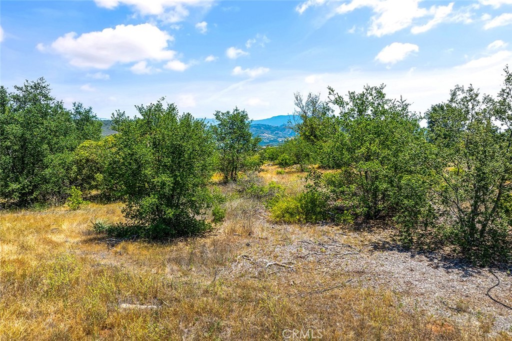 55 Via Escalon Property Photo 8