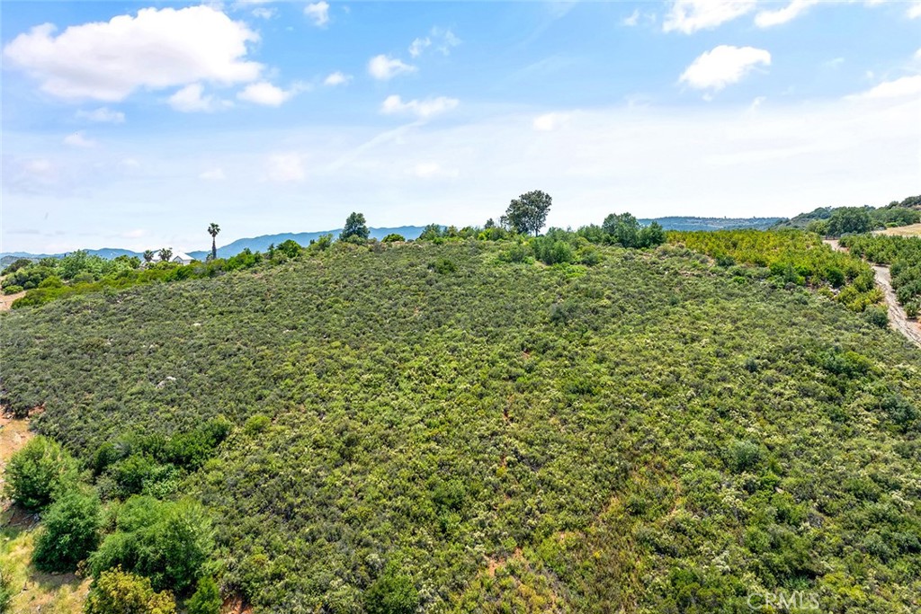 55 Via Escalon Property Photo 12