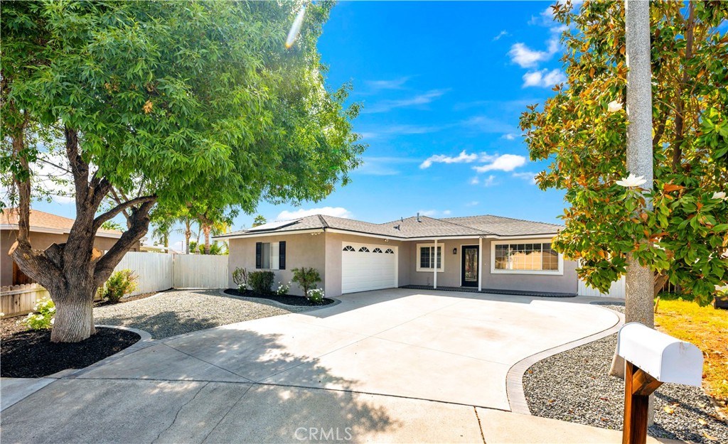 26425 Katharin Street Property Photo 1