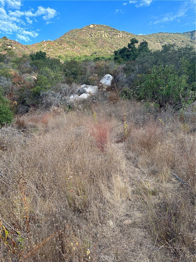 0 Vuelta Grande Road Property Photo 2
