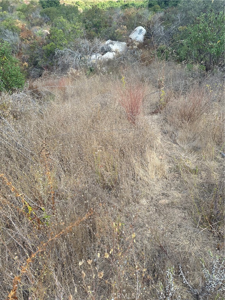 0 Vuelta Grande Road Property Photo 3