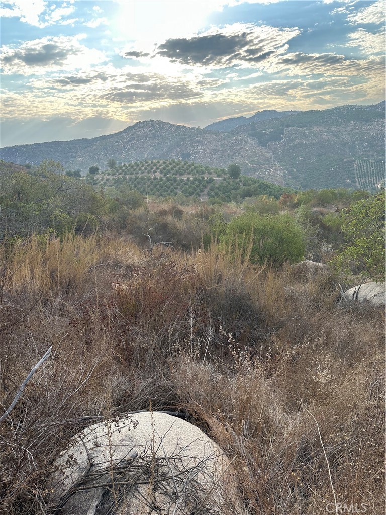 0 Vuelta Grande Road Property Photo 4