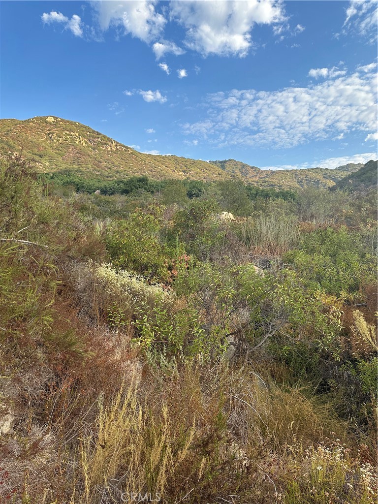 0 Vuelta Grande Road Property Photo 5