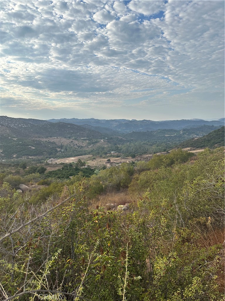0 Vuelta Grande Road Property Photo 6