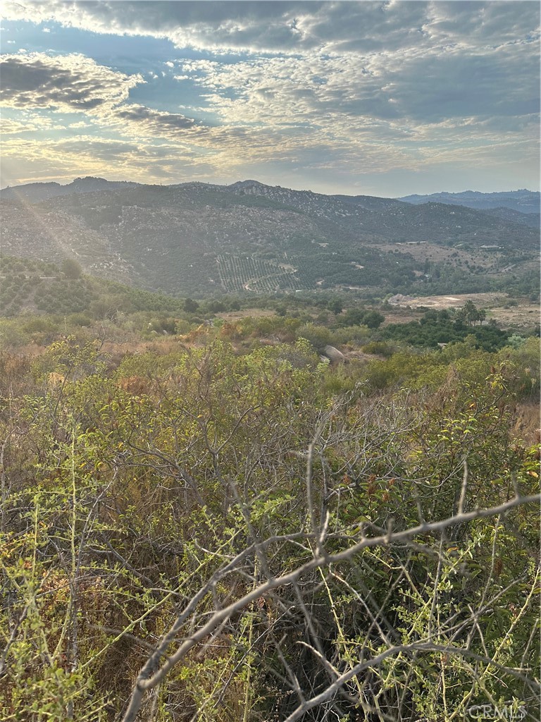0 Vuelta Grande Road Property Photo 7
