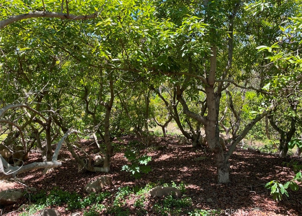 1 Vista Del Mar Property Photo 1