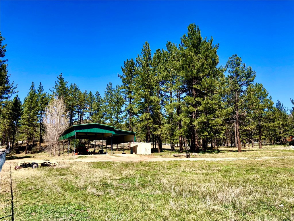 0 Butterfly Peak Rd. Property Photo 2