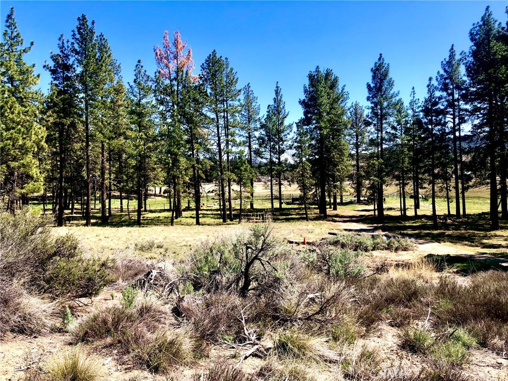 0 Butterfly Peak Rd. Property Photo 4
