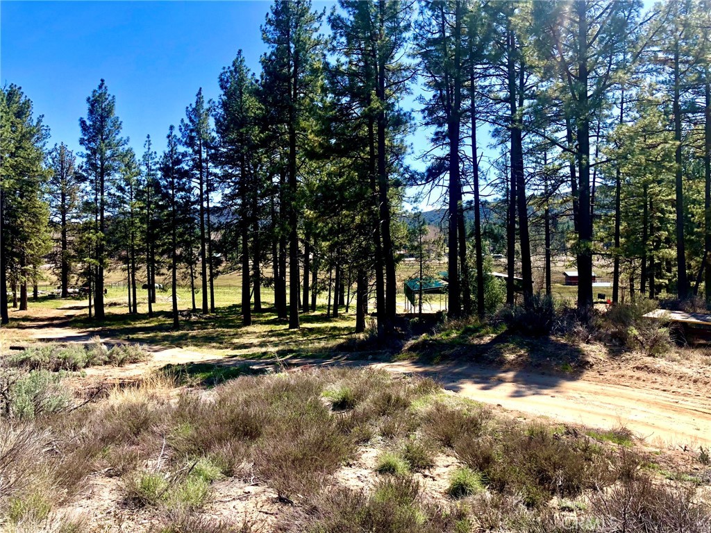0 Butterfly Peak Rd. Property Photo 7
