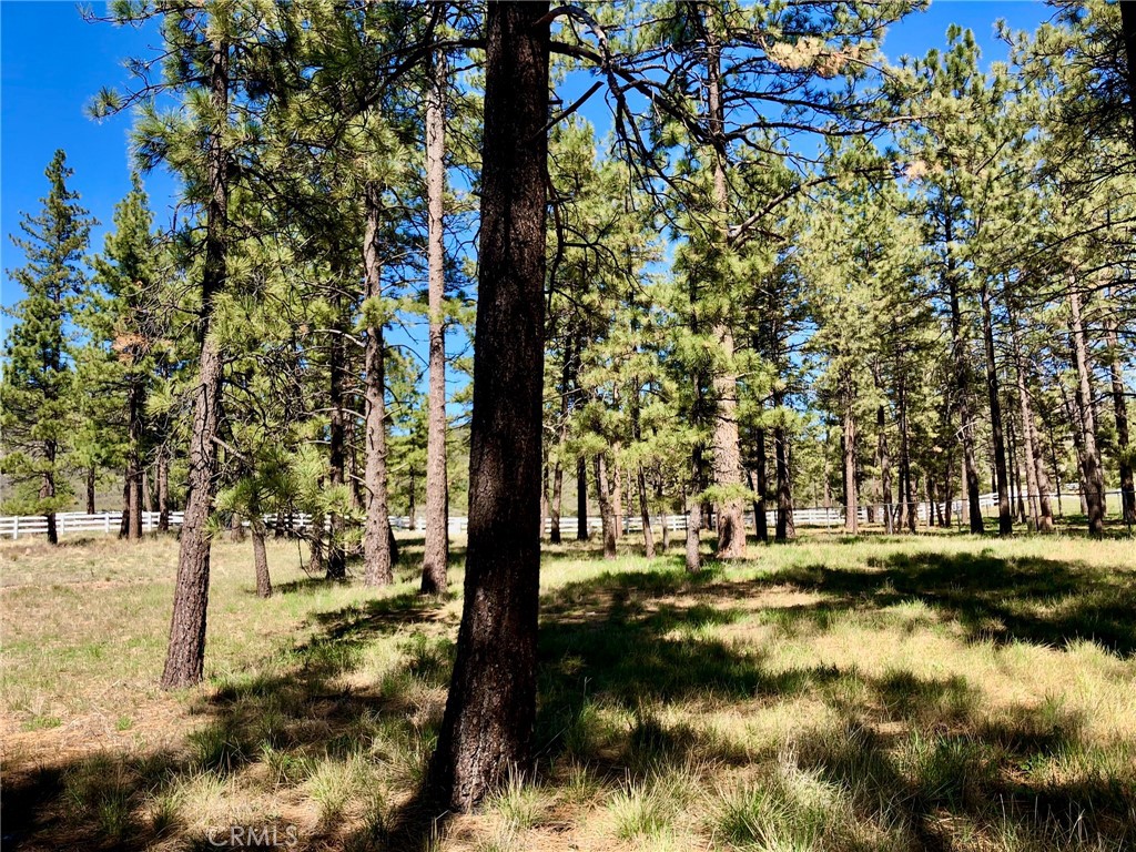 0 Butterfly Peak Rd. Property Photo 8