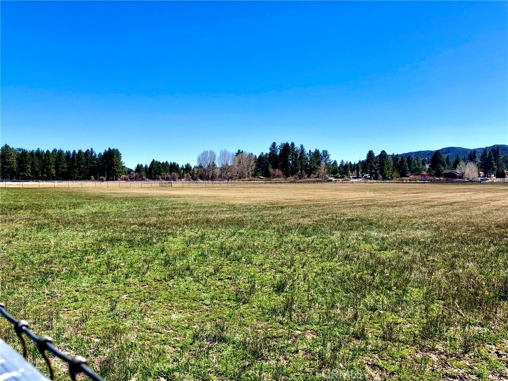 0 Butterfly Peak Rd. Property Photo 10