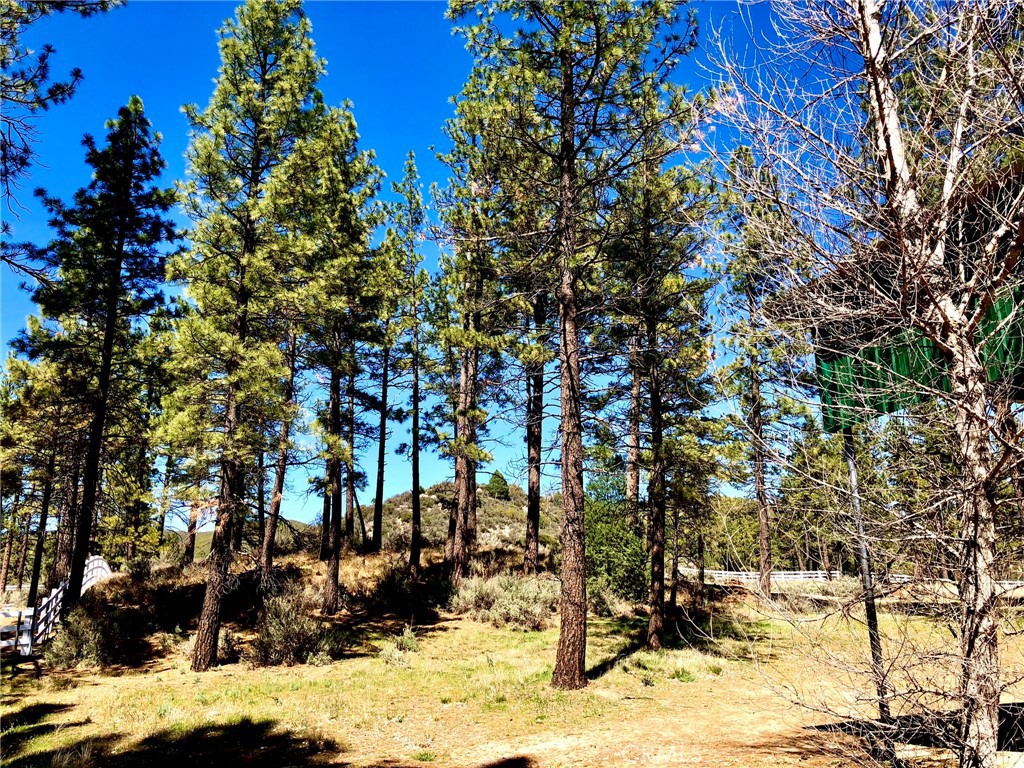 0 Butterfly Peak Rd. Property Photo 12