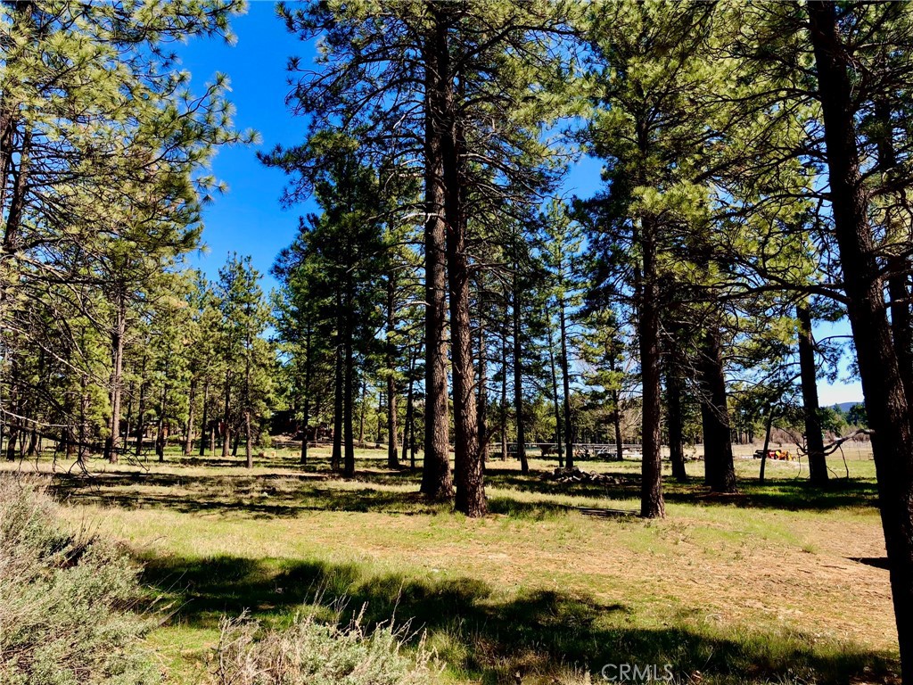 0 Butterfly Peak Rd. Property Photo 14