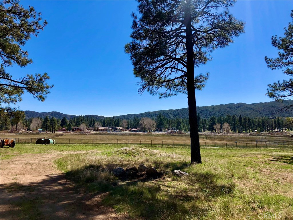 0 Butterfly Peak Rd. Property Photo 16