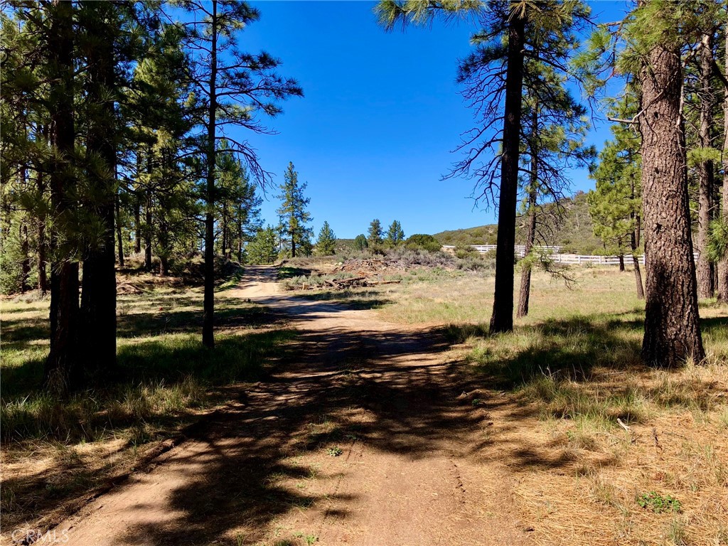 0 Butterfly Peak Rd. Property Photo 17