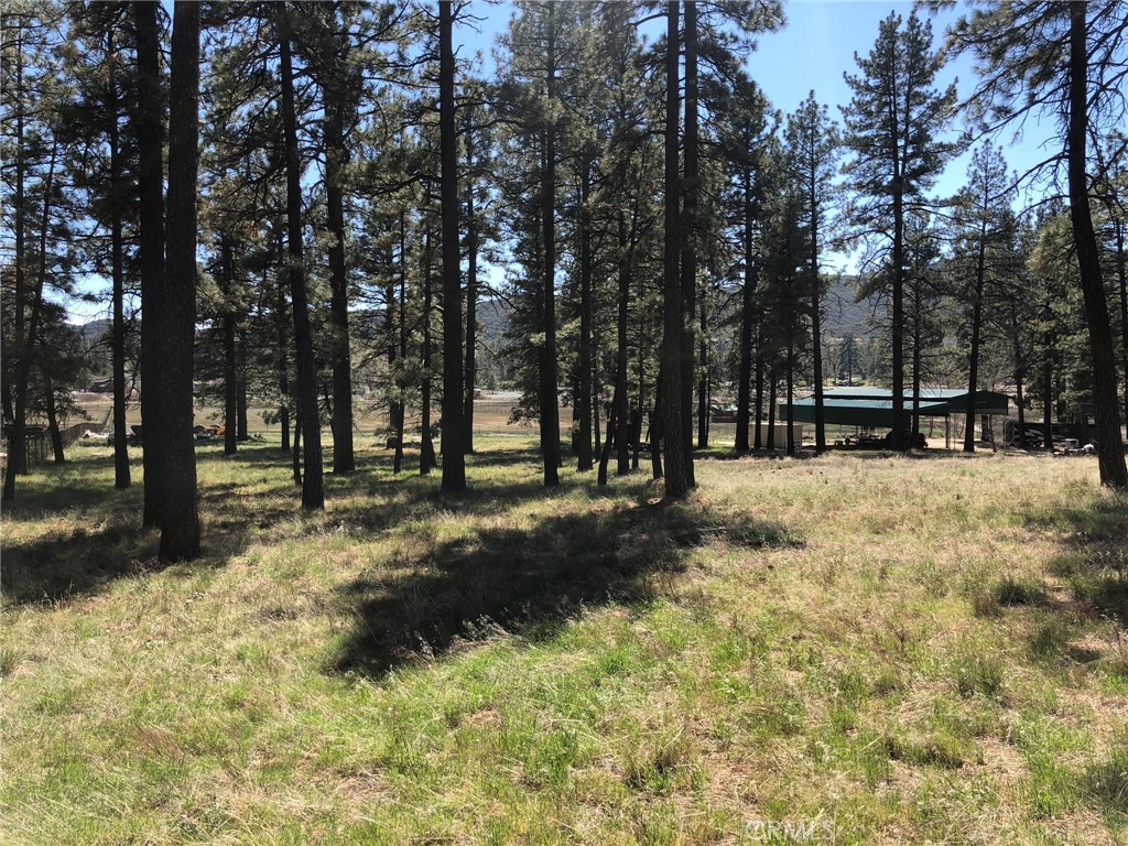 0 Butterfly Peak Rd. Property Photo 18