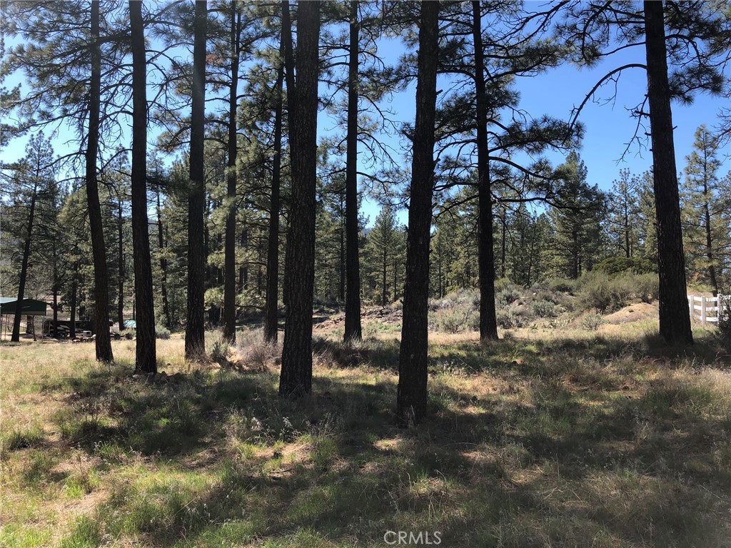 0 Butterfly Peak Rd. Property Photo 19