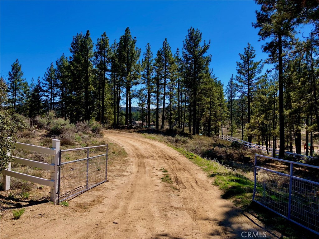 0 Butterfly Peak Rd. Property Photo 20