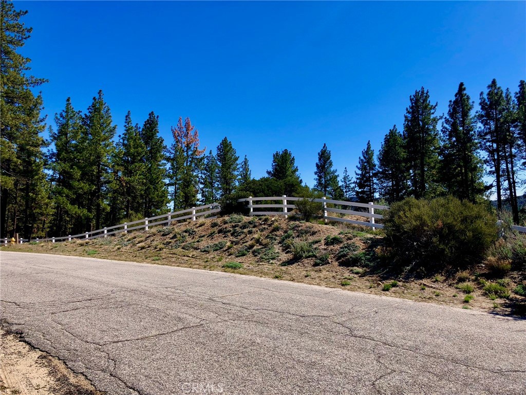 0 Butterfly Peak Rd. Property Photo 21