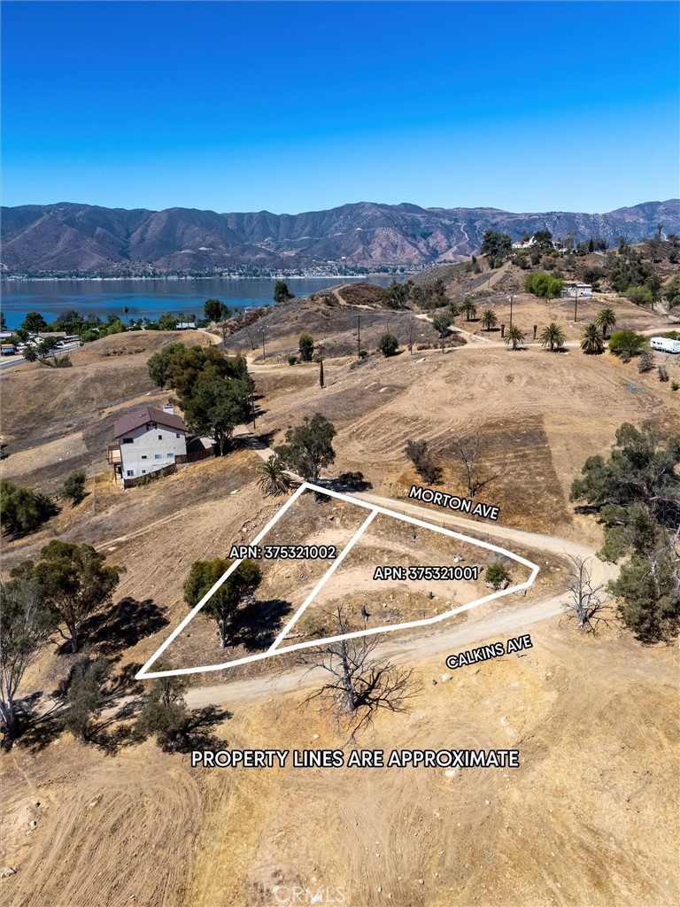 30223 Morton Avenue Property Photo 1