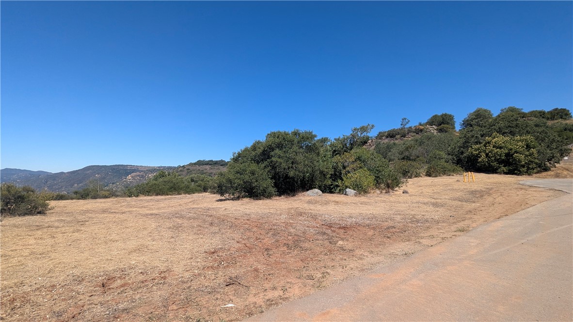 15 Via Escalon Property Photo 4