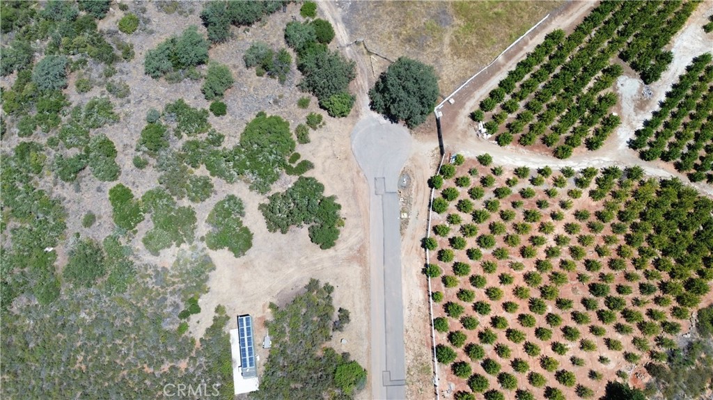 15 Via Escalon Property Photo 10